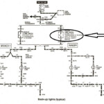 1994 Ford Ranger Lighting Wiring Diagram Wiring Diagram Schema