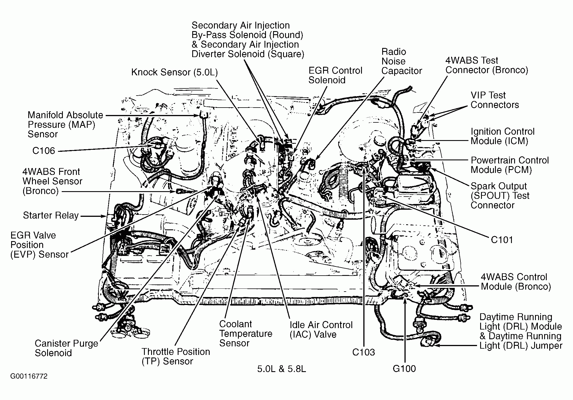 2004 Ford F150 5 4 Triton Firing Order Wiring And Printable